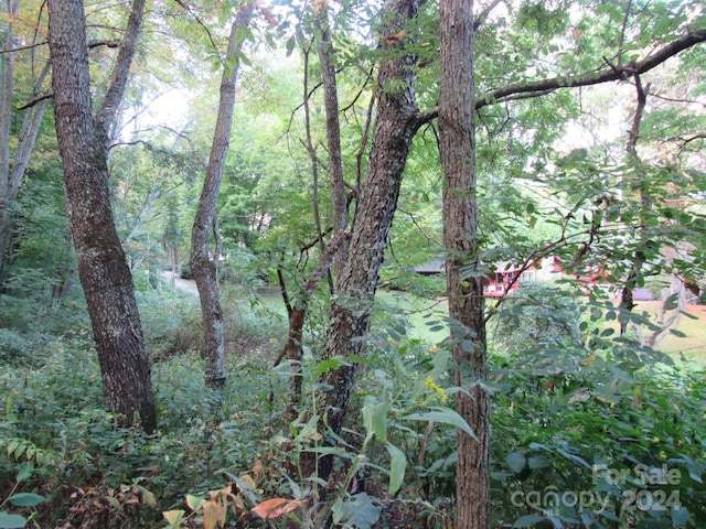 LOT211B Apple Creek Rd Unit 211, Waynesville, NC 28786