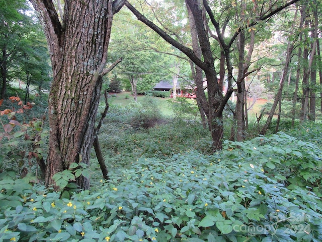 LOT211B Apple Creek Rd Unit 211, Waynesville, NC 28786