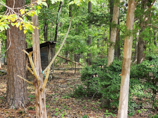 view of nature with a wooded view