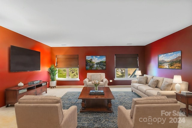 carpeted living room with a wealth of natural light