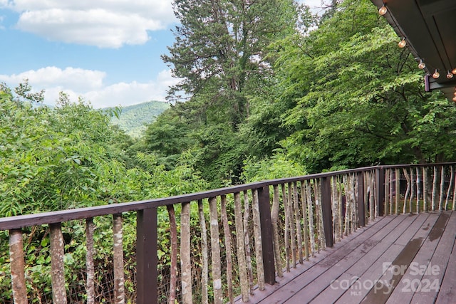 207 Vegas Drive 11 & 16, Leicester, NC 28748 - photo 27