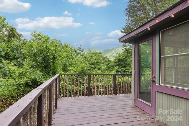 207 Vegas Drive 11 & 16, Leicester, NC 28748 - photo 28
