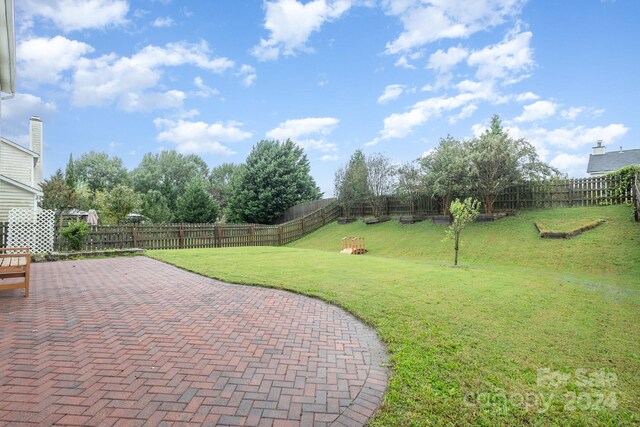 view of yard featuring a patio area