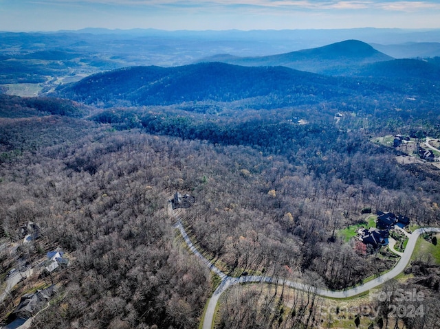 99999 Dancing Bear Dr Unit 53, Hendersonville NC, 28792 land for sale