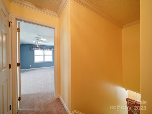 corridor featuring ornamental molding, carpet, and a textured ceiling