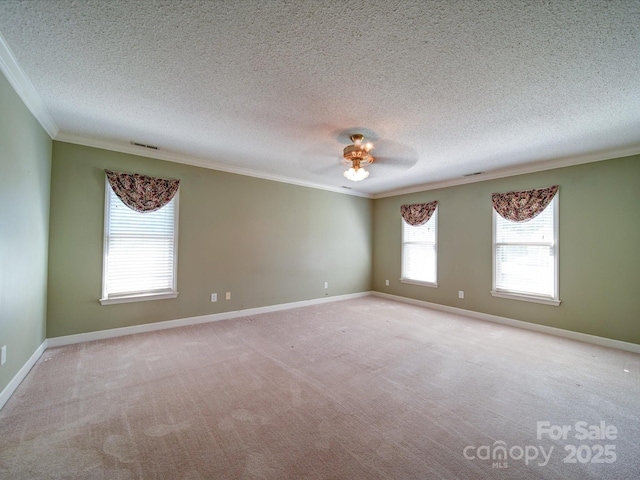 carpeted spare room with crown molding and a textured ceiling