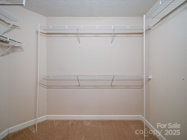 walk in closet featuring carpet floors