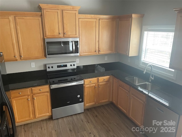 kitchen featuring appliances with stainless steel finishes, sink, and dark hardwood / wood-style flooring