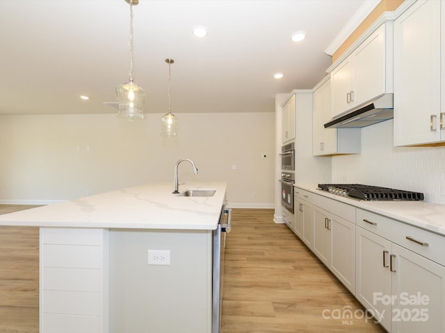 kitchen featuring light wood-style floors, an island with sink, under cabinet range hood, appliances with stainless steel finishes, and a sink