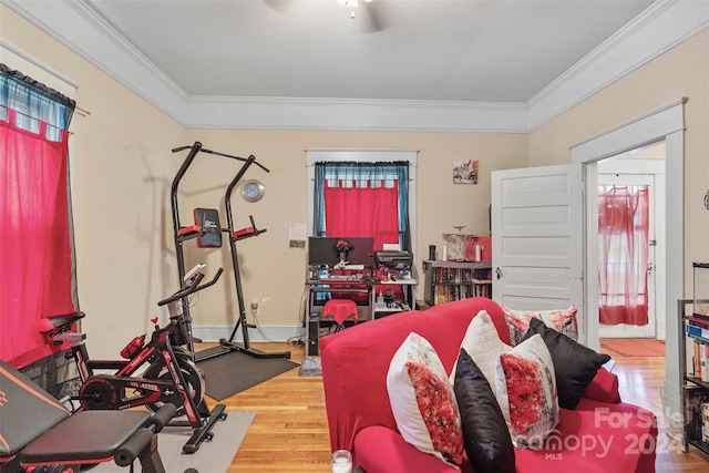 workout area featuring crown molding, ceiling fan, and hardwood / wood-style flooring