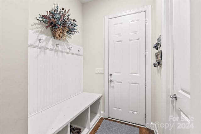 mudroom with dark wood-type flooring