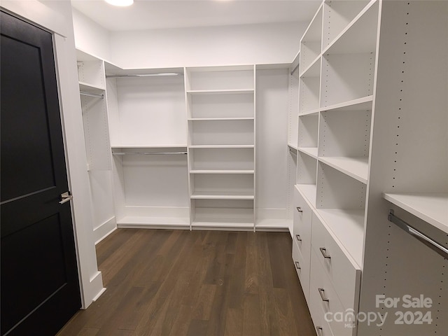 spacious closet with dark wood-type flooring