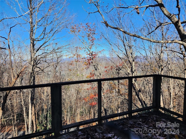 120 Pinewood Cir, Laurel Park, NC 28739 - photo 22