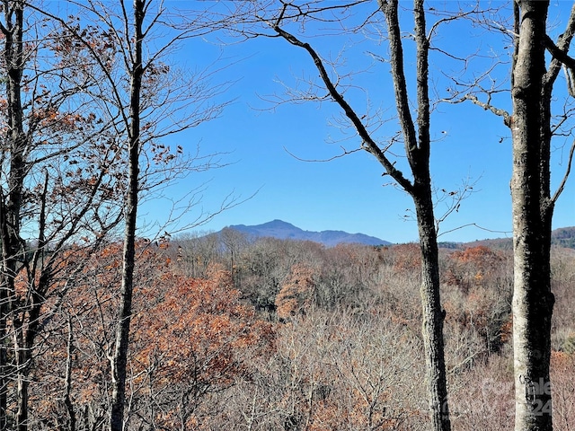 142 Tanglewood Trl Unit 142, Blowing Rock NC, 28607 land for sale