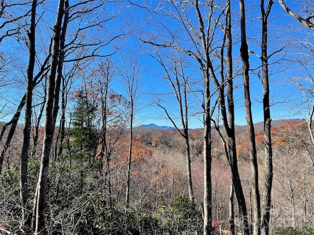 Listing photo 2 for 142 Tanglewood Trl Unit 142, Blowing Rock NC 28607