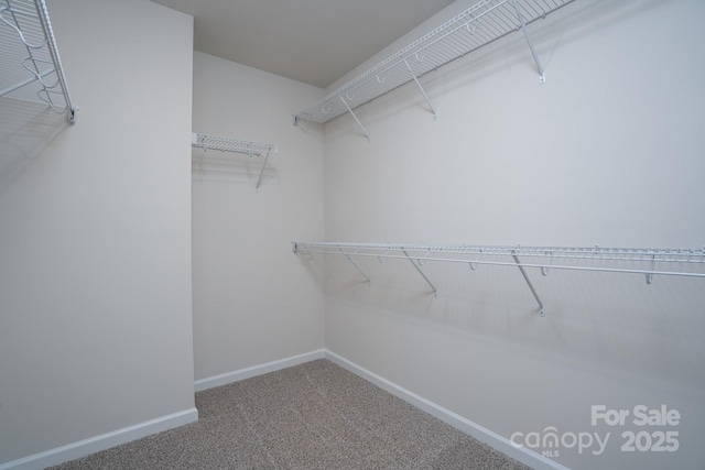 spacious closet with carpet floors