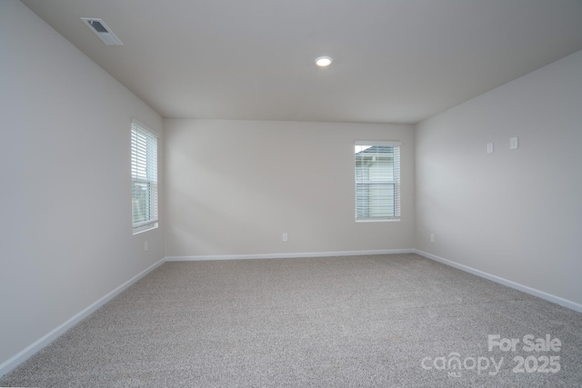 empty room with carpet and a wealth of natural light