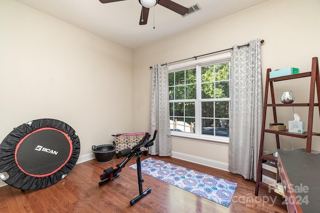 exercise room featuring ceiling fan and wood-type flooring