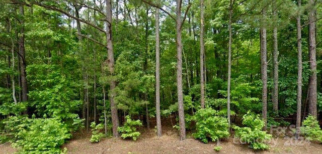 2390 Baron Dekalb Rd, Camden SC, 29020 land for sale