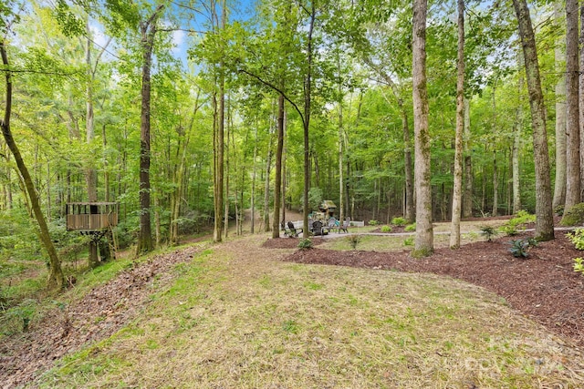 10250 Barringer Ct, Mount Pleasant, NC 28124 - view of yard featuring a wooded view
