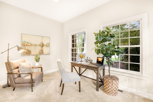 carpeted office space featuring a healthy amount of sunlight