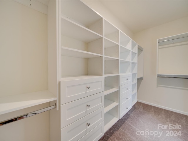 spacious closet featuring carpet flooring