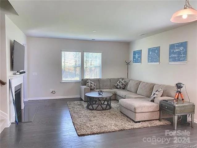 living room featuring dark hardwood / wood-style floors