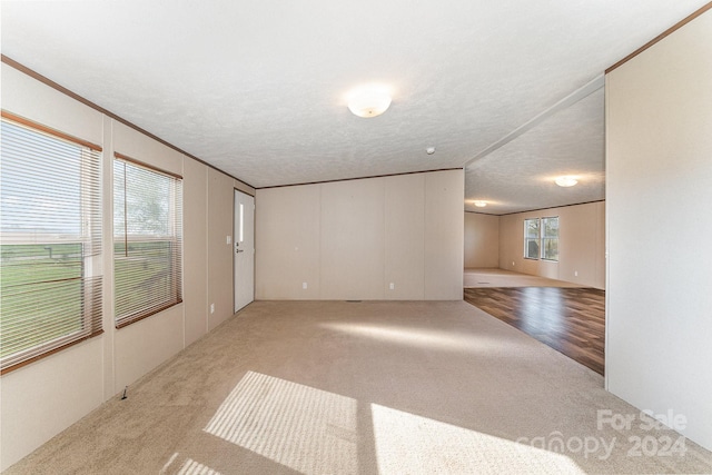 carpeted spare room featuring a textured ceiling and ornamental molding