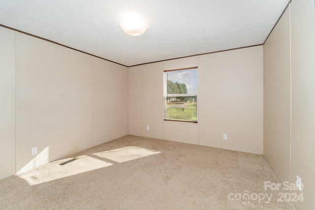 spare room with a textured ceiling and carpet flooring