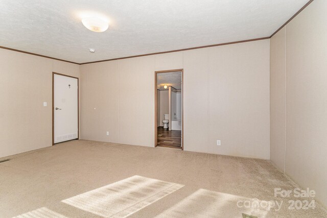 carpeted empty room featuring a textured ceiling and ornamental molding