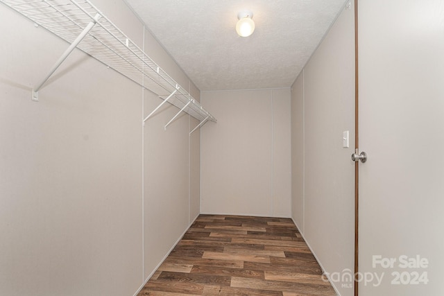 walk in closet with dark hardwood / wood-style floors