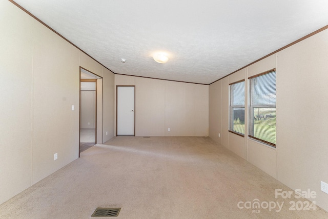 spare room with light colored carpet, a textured ceiling, and ornamental molding