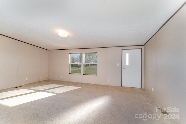 empty room featuring ornamental molding, carpet, and a textured ceiling