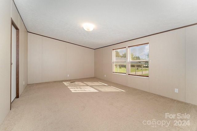 carpeted empty room featuring a textured ceiling and crown molding