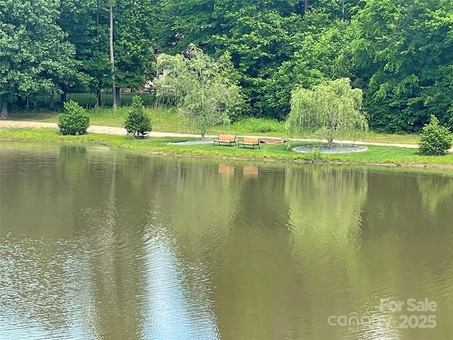 8605 Carly Ln, Mint Hill, NC 28227 - water view