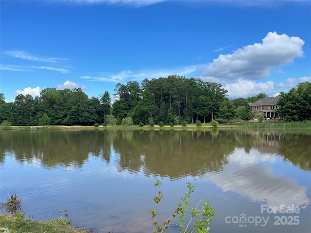 8605 Carly Ln, Mint Hill, NC 28227 - water view
