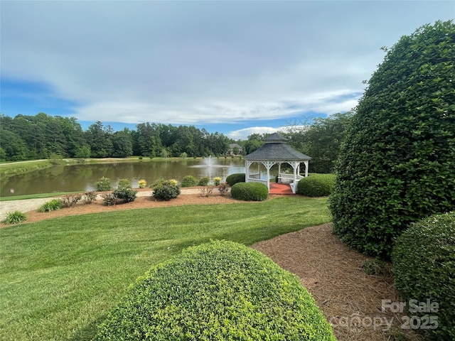 8605 Carly Ln, Mint Hill, NC 28227 - photo 11