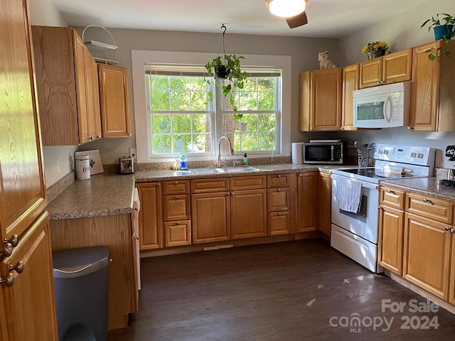 kitchen with hanging light fixtures, white appliances, dark hardwood / wood-style flooring, ceiling fan, and sink