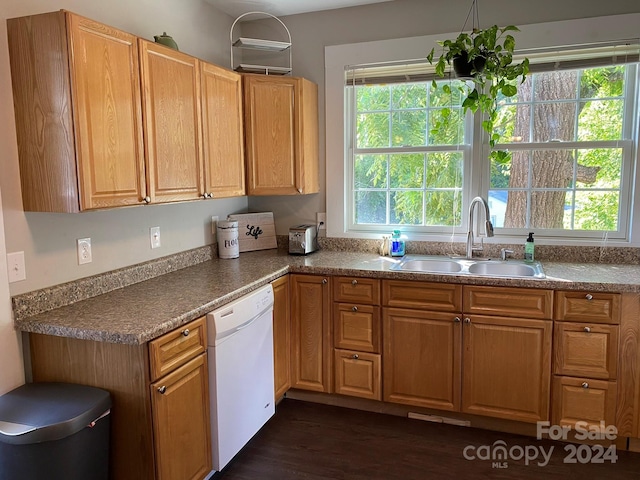 kitchen with a wealth of natural light, dishwasher, dark hardwood / wood-style floors, and sink