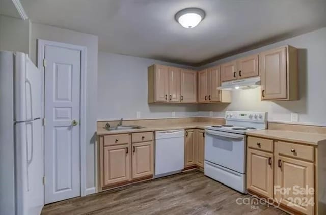 kitchen featuring white appliances, light brown cabinetry, and hardwood / wood-style floors