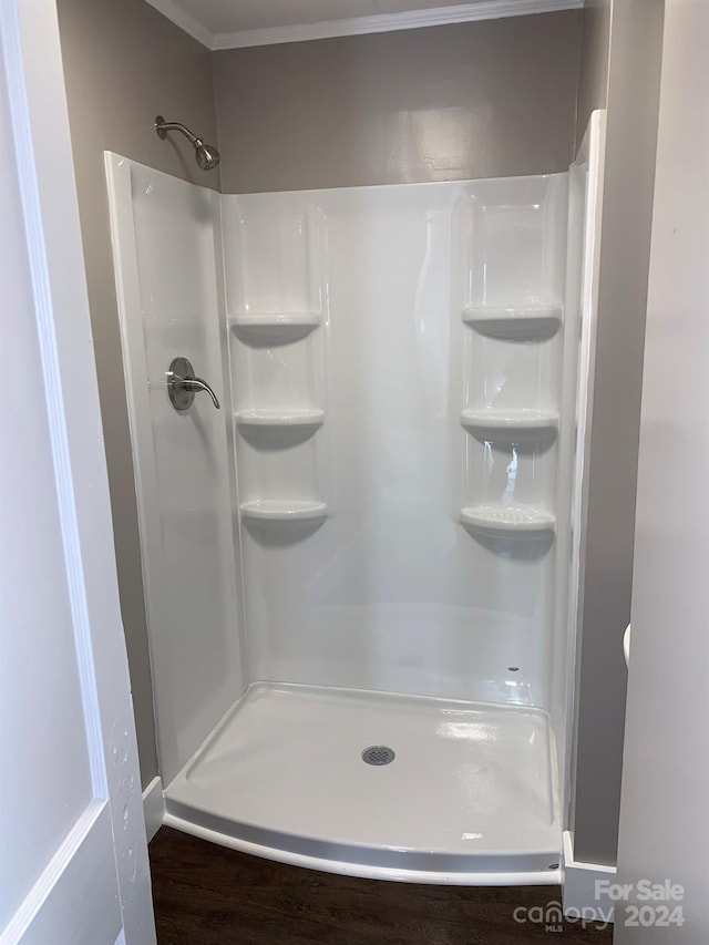 bathroom with a shower and wood-type flooring