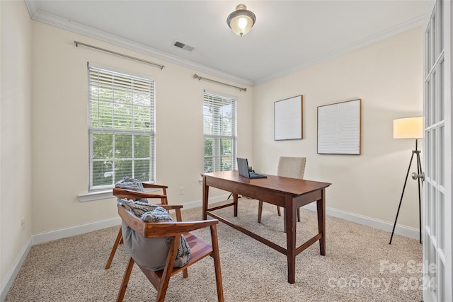 carpeted office space featuring ornamental molding