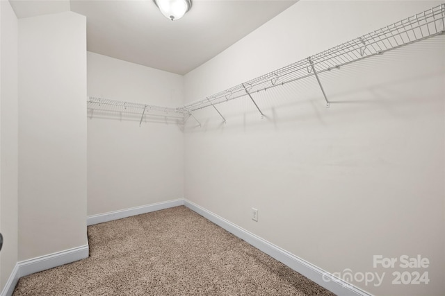 walk in closet featuring carpet floors