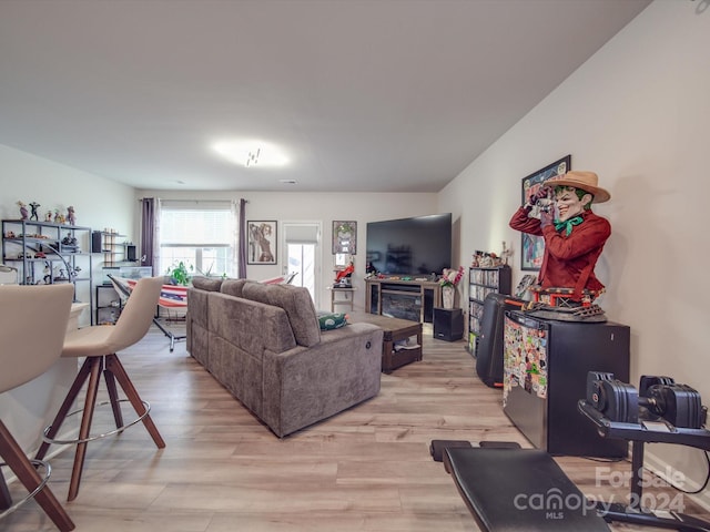 living room with light hardwood / wood-style floors and a fireplace