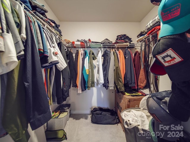 spacious closet with carpet flooring