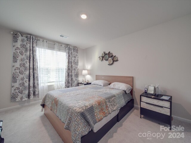 13111 Cottage Crest Ln, Charlotte, NC 28273 - photo 36