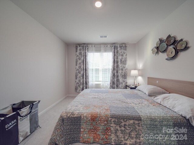 13111 Cottage Crest Ln, Charlotte, NC 28273 - photo 37