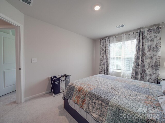 13111 Cottage Crest Ln, Charlotte, NC 28273 - photo 38