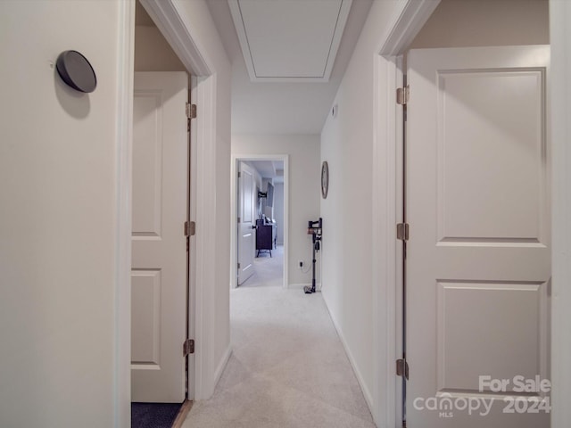 13111 Cottage Crest Ln, Charlotte, NC 28273 - photo 39