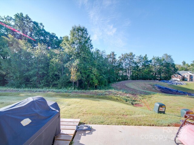 13111 Cottage Crest Ln, Charlotte, NC 28273 - photo 44
